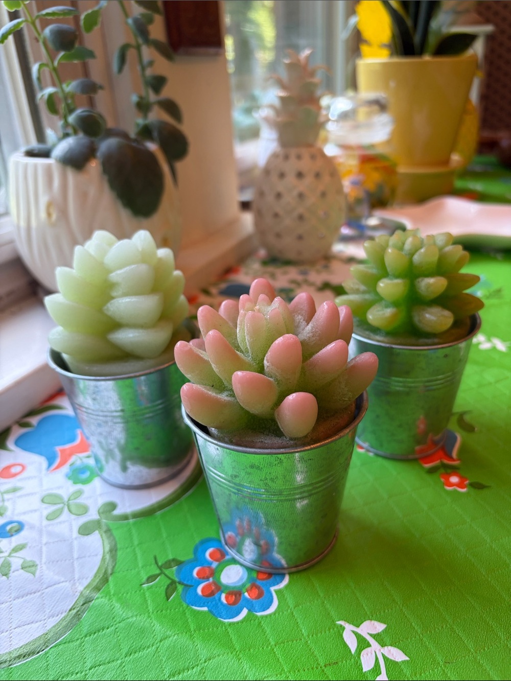 Set of 3 Pottery Barn Succulent Candles